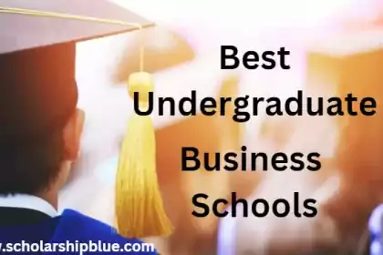 Best Undergraduate Business Schools