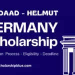 DAAD Helmut-Schmidt Scholarships programmes