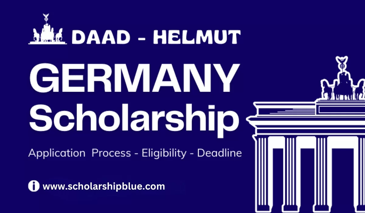 DAAD Helmut-Schmidt Scholarships programmes