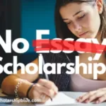 Top 20 No Essay Scholarships