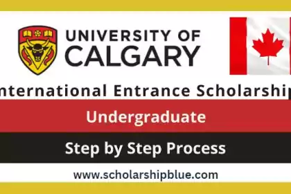 University of Calgary Scholarship