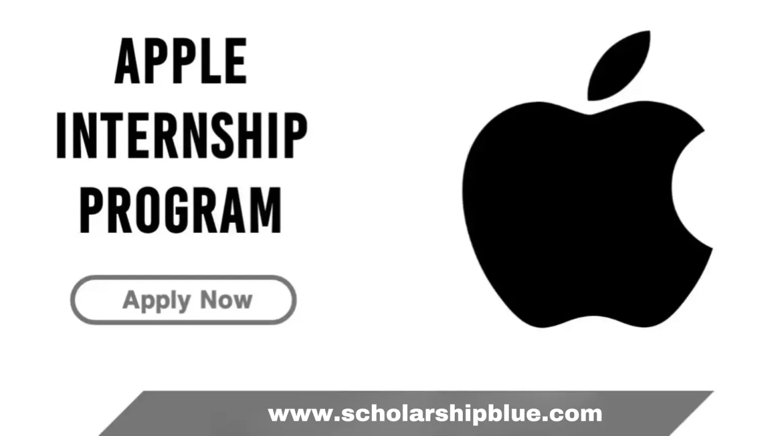 Apple Trainee Program - Apple Company Internship