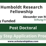 Humboldt Research Fellowship in Germany