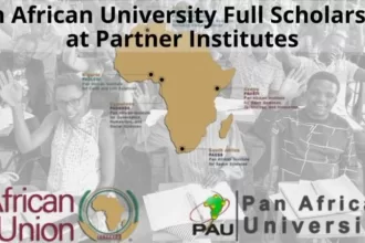Pan African University Postgraduate Scholarships