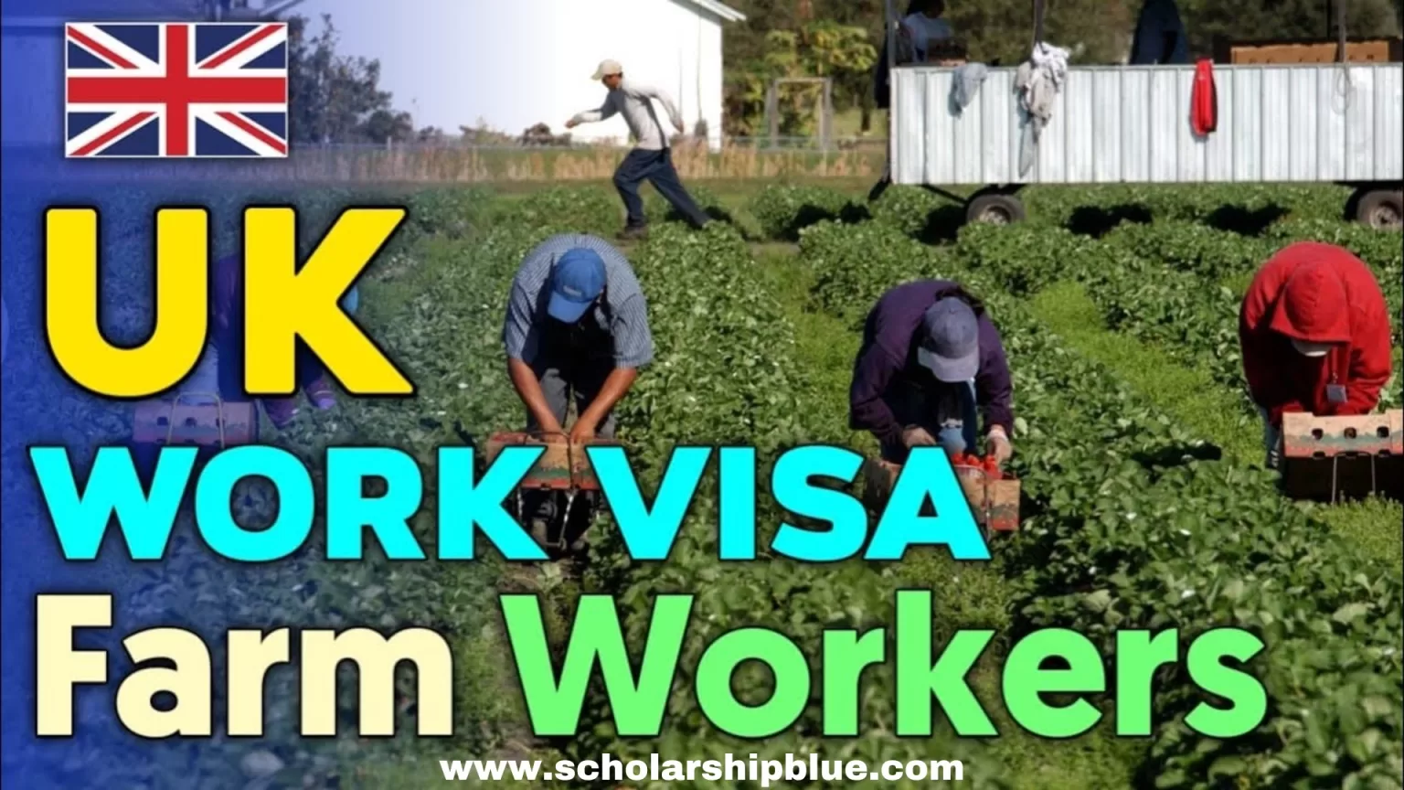 UK Seasonal Work Visa 2023 (Temporary Work)