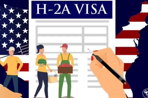 US H2A Work Visa Process